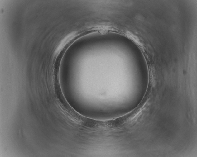 X0000074930199200609011059