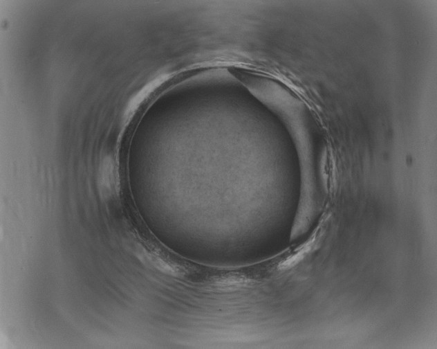 X0000074930200200609011059