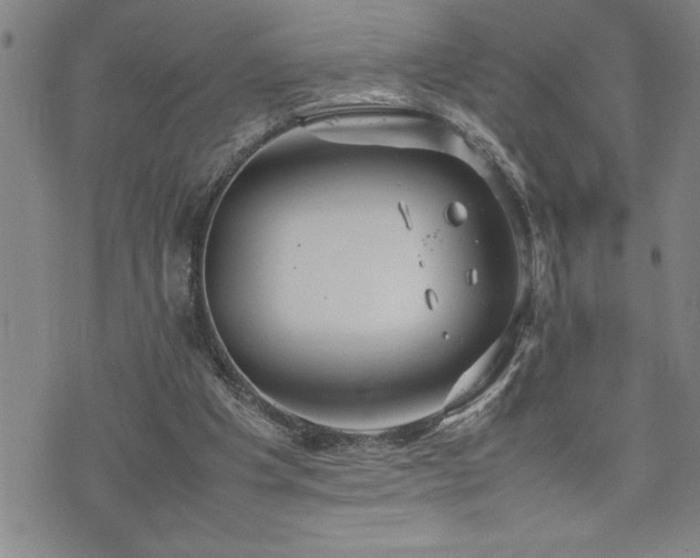 X0000074930201200609011059