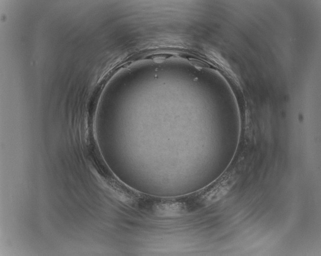 X0000074930202200609011059