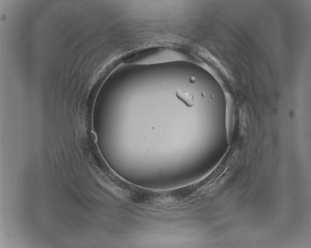 X0000074930203200609011059