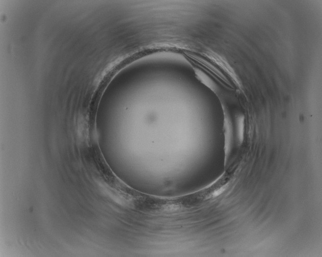 X0000074930204200609011059