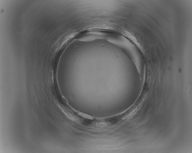 X0000074930205200609011059