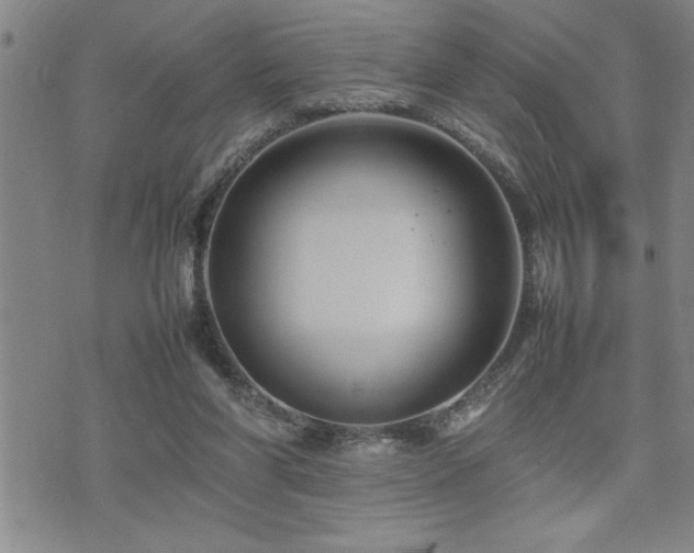 X0000074930206200609011059