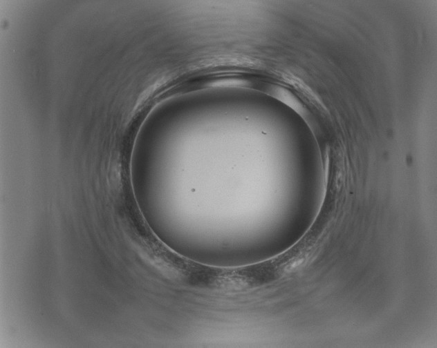 X0000074930207200609011059