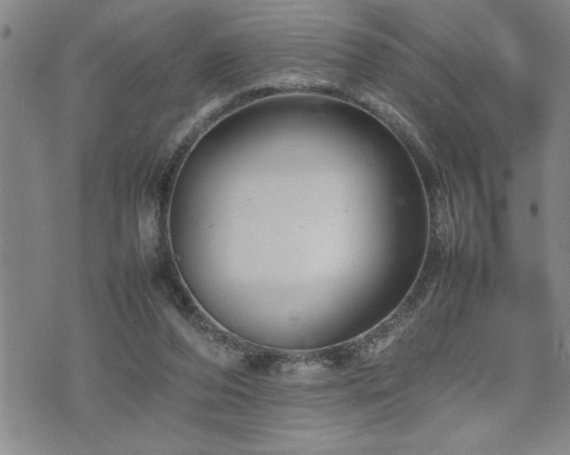 X0000074930208200609011059