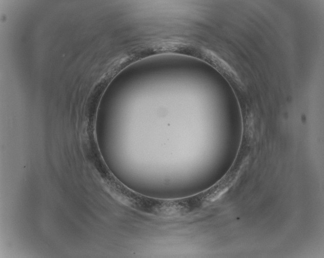 X0000074930209200609011059