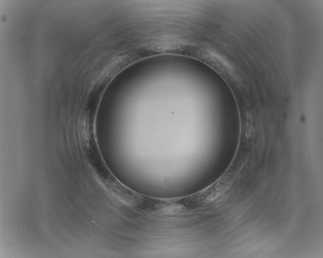 X0000074930210200609011059