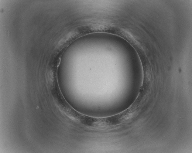 X0000074930211200609011059