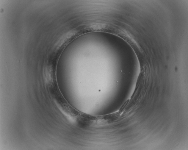 X0000074930212200609011059