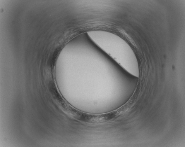 X0000074930213200609011059