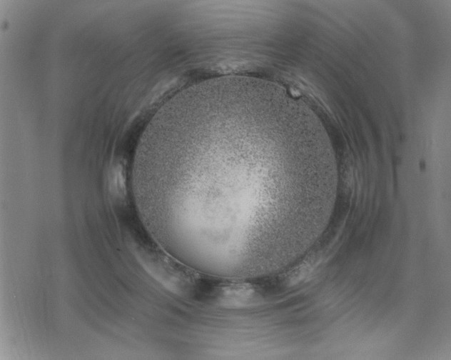 X0000074930214200609011059