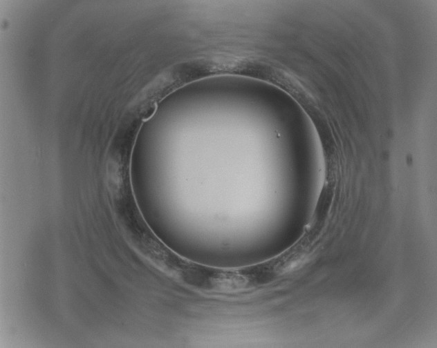 X0000074930215200609011059