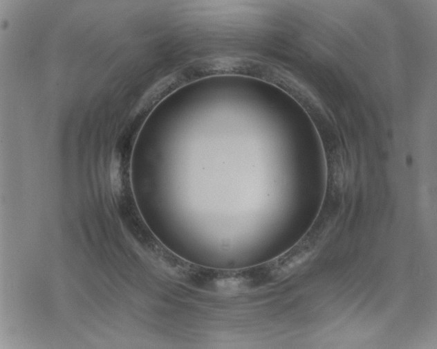 X0000074930216200609011059