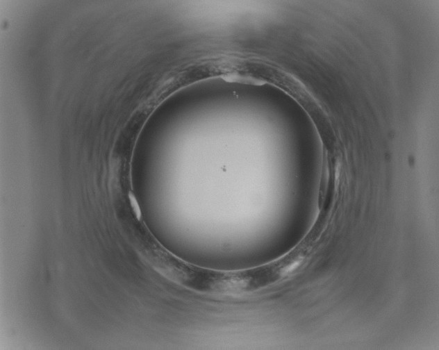 X0000074930217200609011059