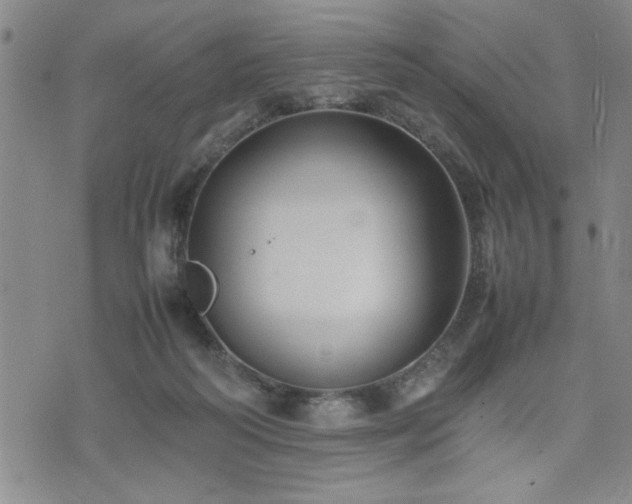 X0000074930218200609011059