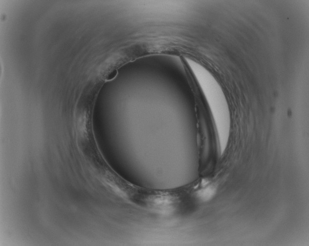 X0000074930219200609011059