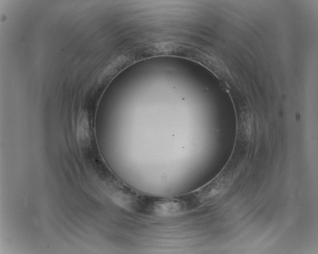 X0000074930220200609011059