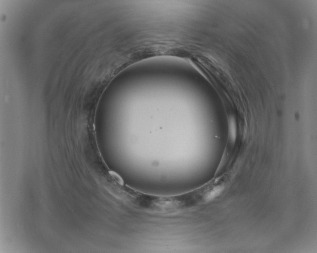 X0000074930221200609011058