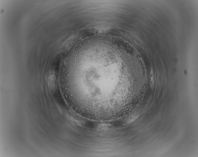 X0000074930222200609011058