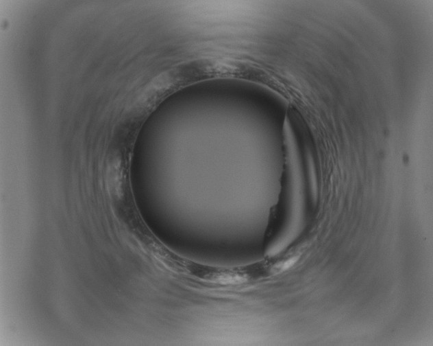 X0000074930223200609011058