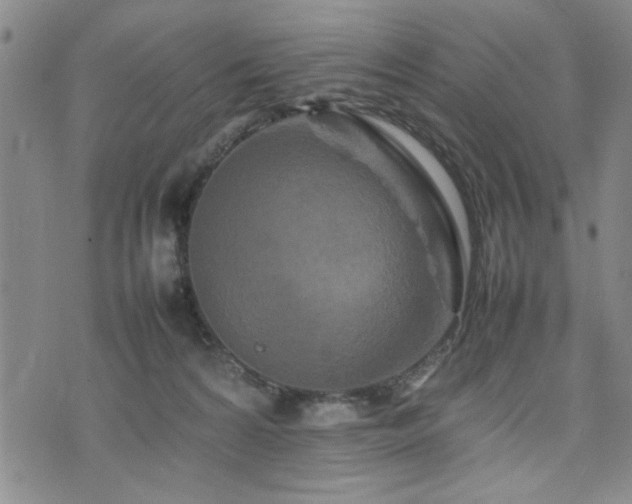 X0000074930224200609011058