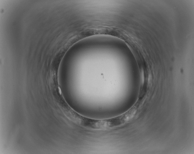 X0000074930225200609011058