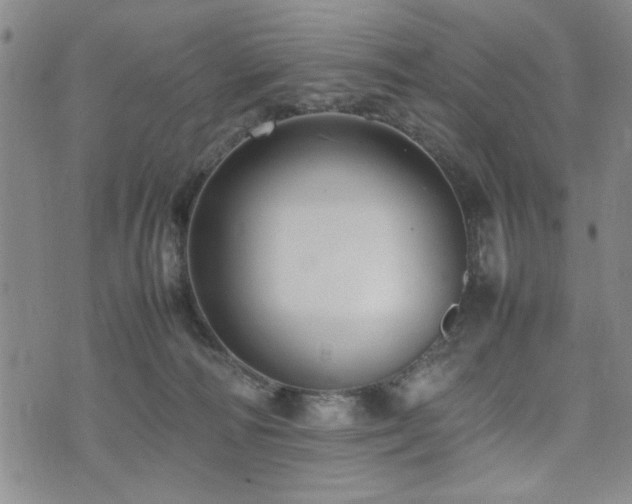 X0000074930226200609011058