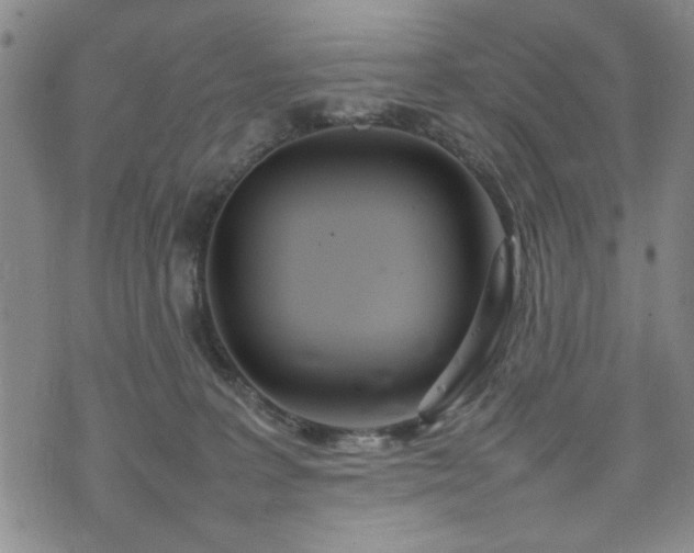 X0000074930227200609011058