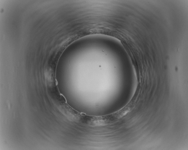 X0000074930228200609011058