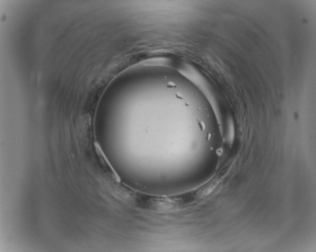 X0000074930229200609011058