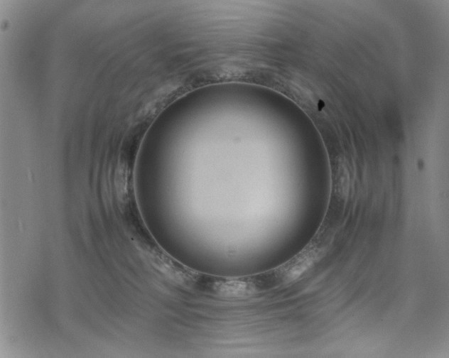 X0000074930230200609011058