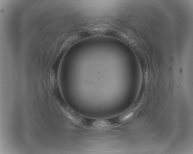 X0000074930231200609011058