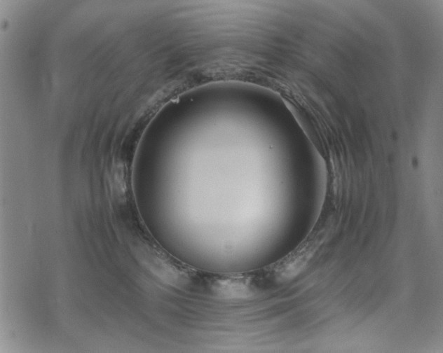 X0000074930232200609011058