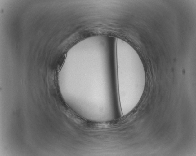 X0000074930233200609011058