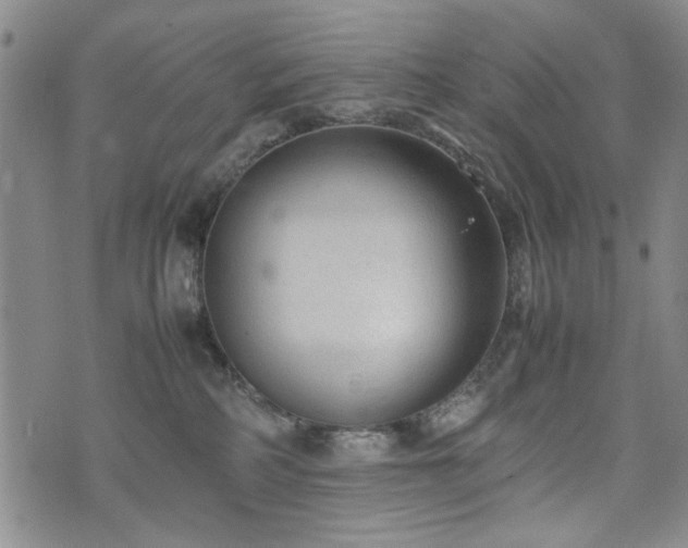 X0000074930234200609011058