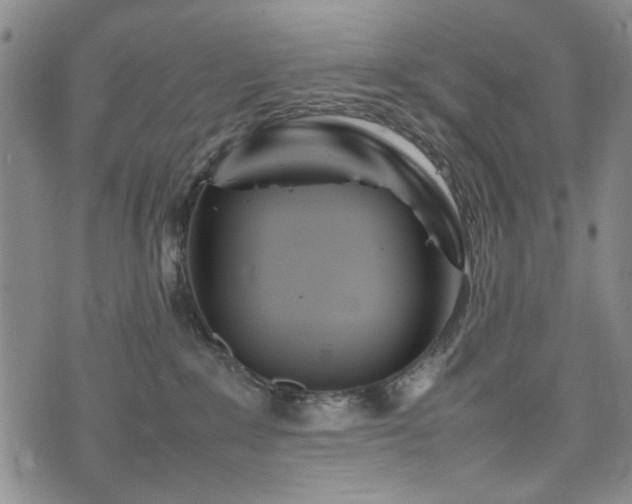 X0000074930235200609011058