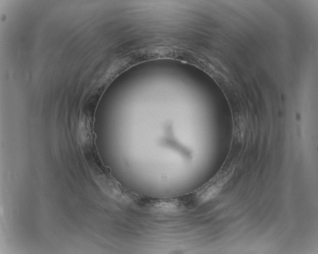 X0000074930236200609011058