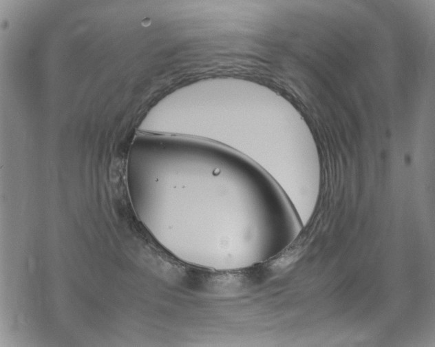 X0000074930237200609011058