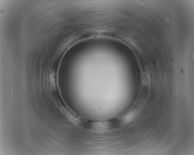 X0000074930238200609011058