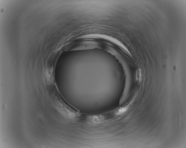 X0000074930239200609011058