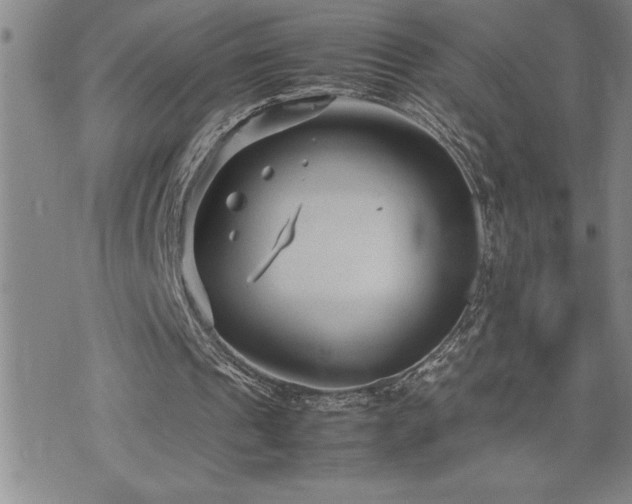 X0000074930241200609011057