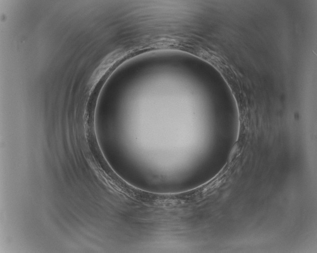 X0000074930242200609011057