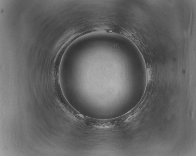 X0000074930243200609011057