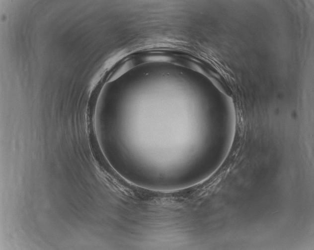 X0000074930244200609011057