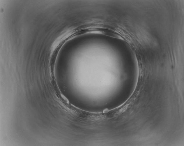 X0000074930245200609011057