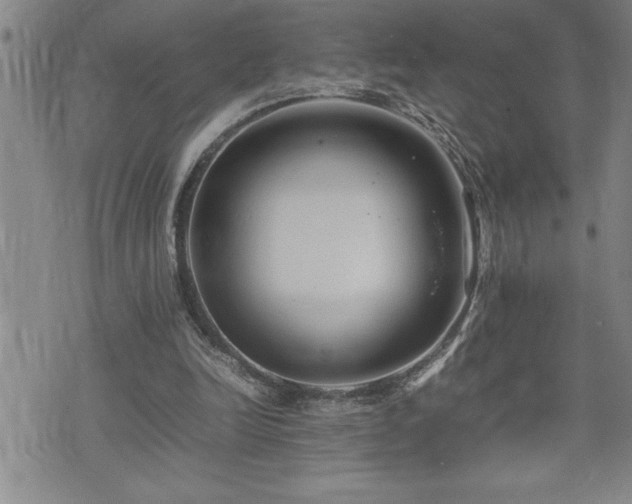 X0000074930246200609011057