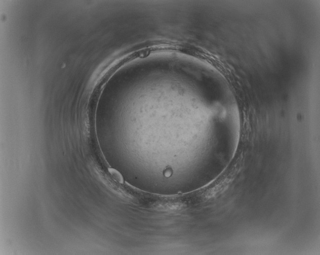 X0000074930247200609011057