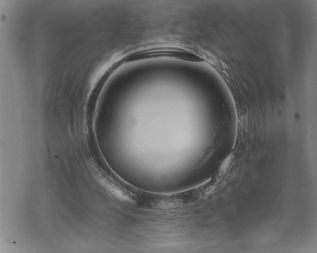 X0000074930248200609011058