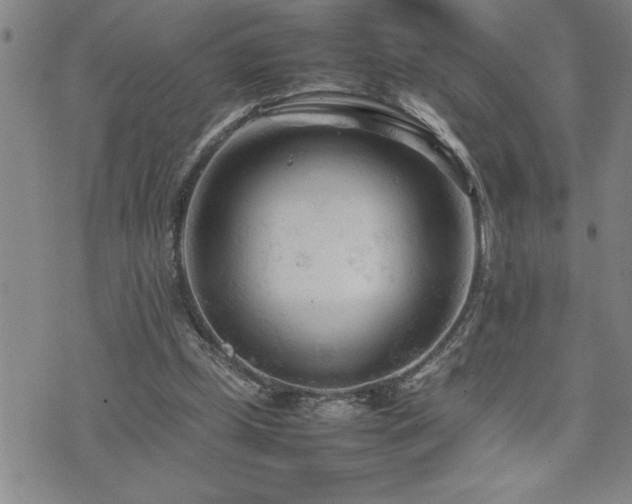 X0000074930249200609011058